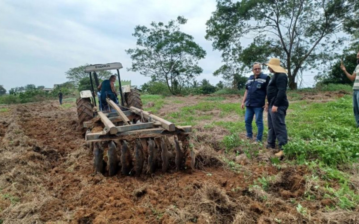 Milho e feijão ganham espaço e reforçam produção rural em Rio das Ostras